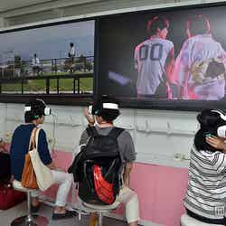 25階「「君と恋仲」~葵と見る秘密の花火~」