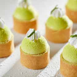 新緑スイーツブッフェ/画像提供:ニッコー・ホテルズ・インターナショナル