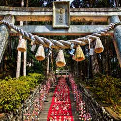 素盞鳴神社雛段飾り／画像提供：稲取温泉旅館協同組合