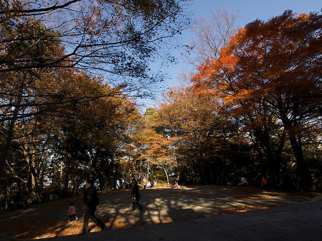 「高尾山」／photo by hiyang.on.flickr