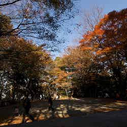 「高尾山」/photo by hiyang.on.flickr