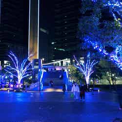 ヨコハマミライト(提供写真)