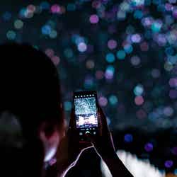 バブルミネーション/提供画像