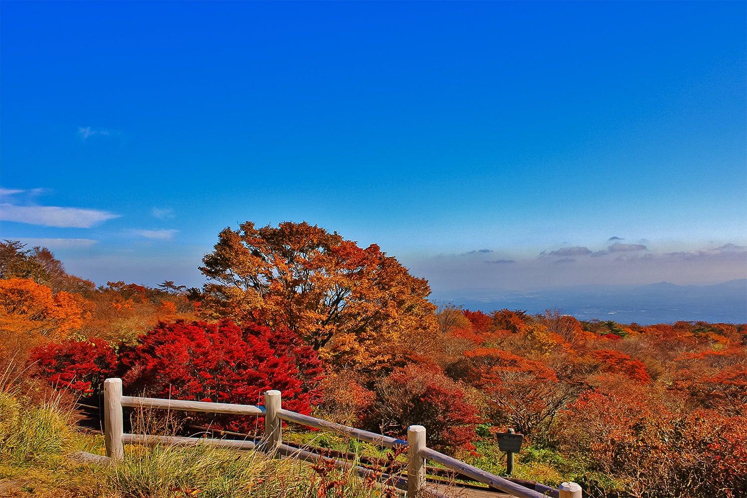 glampark 赤沢温泉／画像提供：ブッキングリゾート