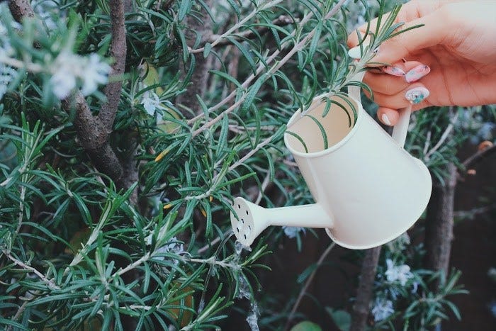 【運命の恋が訪れる前兆5】自分の大切にしていた物が壊れる/photo by GIRLY DROP