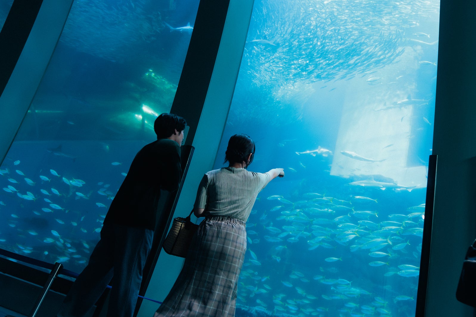 赤楚衛二、藤間爽子「「こっち向いてよ向井くん」第4話より（C）日本テレビ