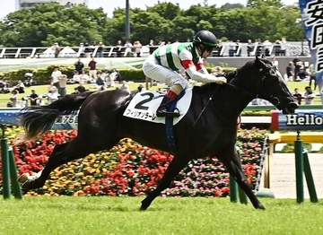 【新馬戦】フィリオソラーレ 人気応えて初陣飾る ルメールが素質評価「体が大きく子供っぽい。伸びしろある」