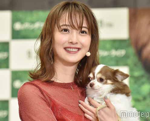 佐々木希、運命の出会いを語る 愛犬“マロン”と登場<僕のワンダフル・ライフ>