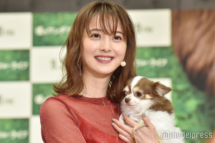 佐々木希 運命の出会いを語る 愛犬 マロン と登場 僕のワンダフル ライフ モデルプレス