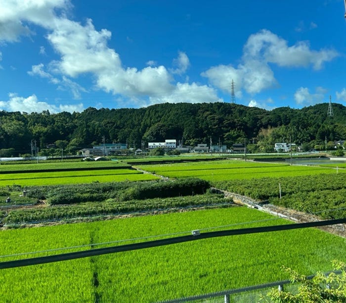 安めぐみオフィシャルブログより