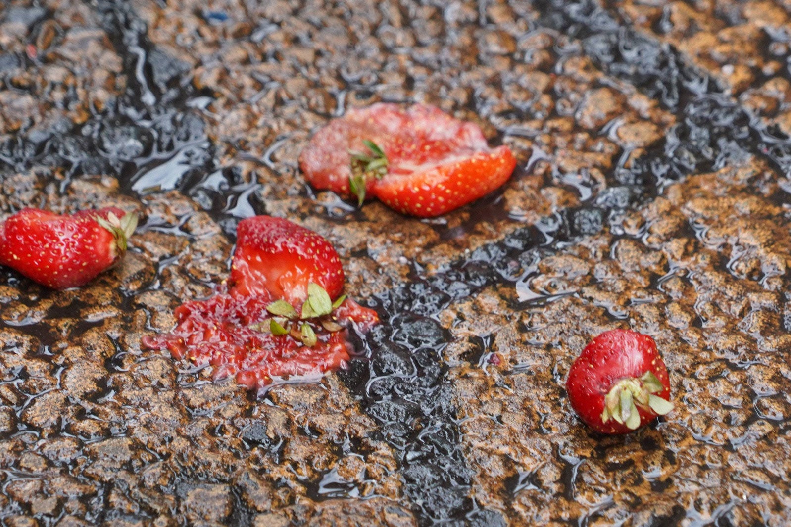 「ストロベリーナイト・サーガ」第1話より（C）フジテレビ