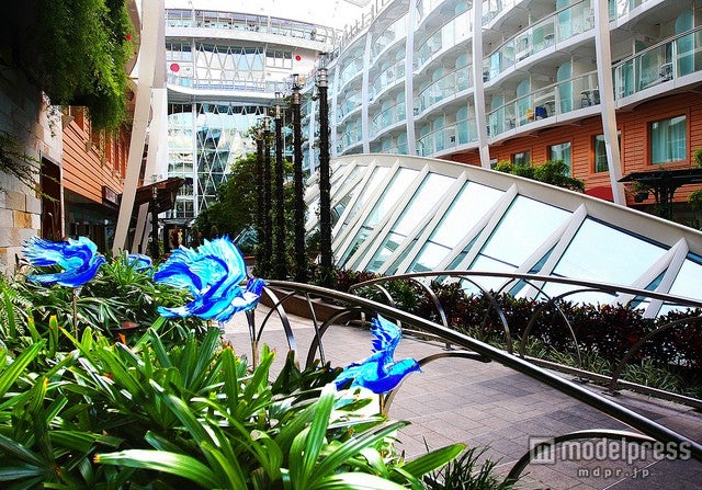 季節の花々が咲く「セントラルパーク」／photo by Rennett Stowe