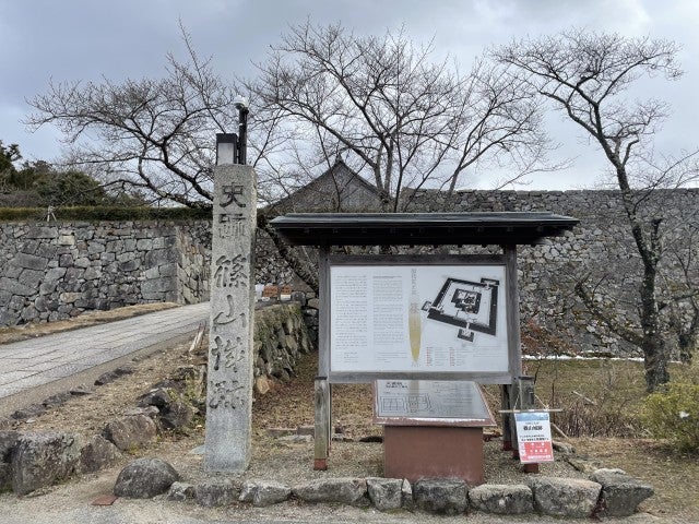 幻想的な桜景色にうっとり…♡ 訪れた際に立ち寄りたいハンバーガーショップも【兵庫県丹波篠山市】