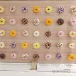 グランドメルキュール八ヶ岳リゾート&スパ(C)モデルプレス