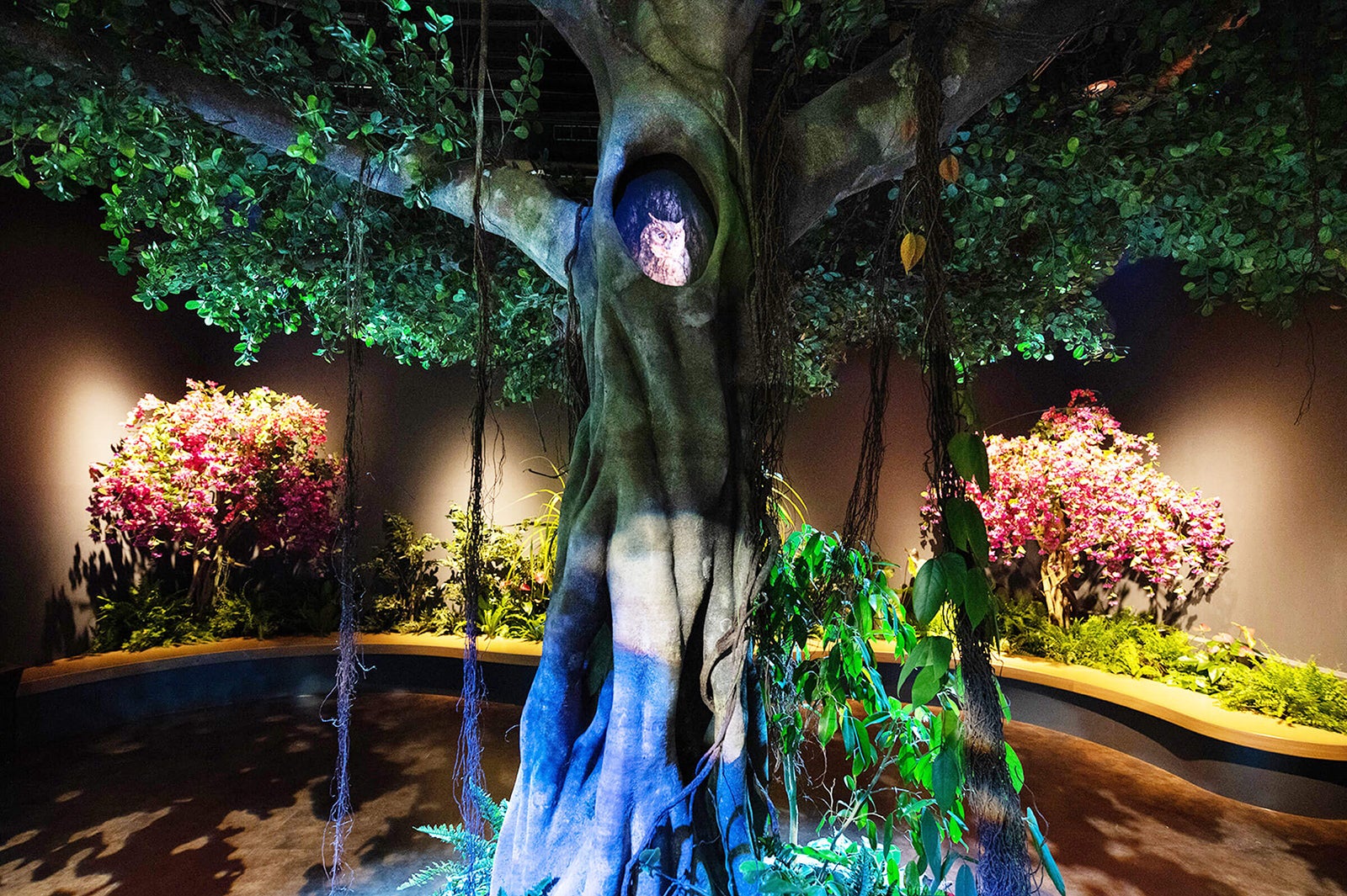 DMMかりゆし水族館（提供画像）