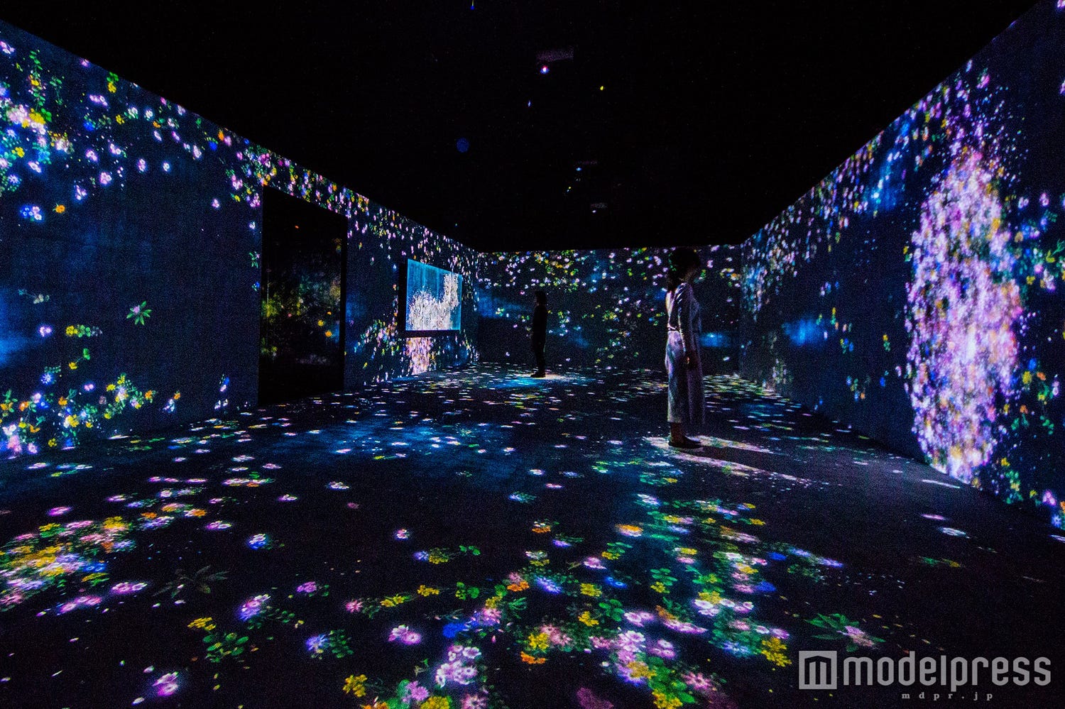 アート作品×遊園地を一度に楽しむ展覧会、関西初開催