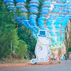 ムーミン谷とアンブレラ(C)Moomin Characters