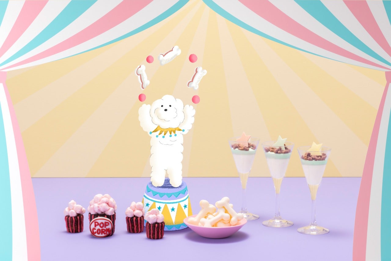 ワンナイトサーカス／画像提供：ヒルトン東京ベイ