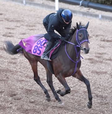 【新馬戦】ルージュラベル 流れに乗って好勝負だ レッドベルディエスの初子、レッドベルオーブら一族は早期から活躍馬並ぶ