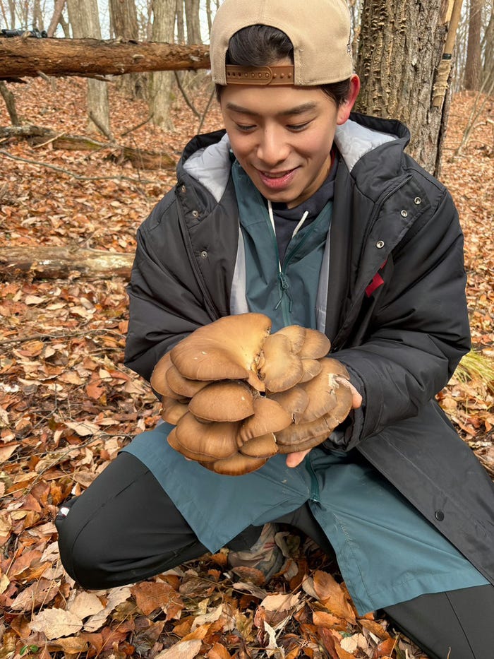 こーくん(提供写真)