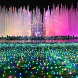 よみうりランド ジュエルミネーション/提供画像