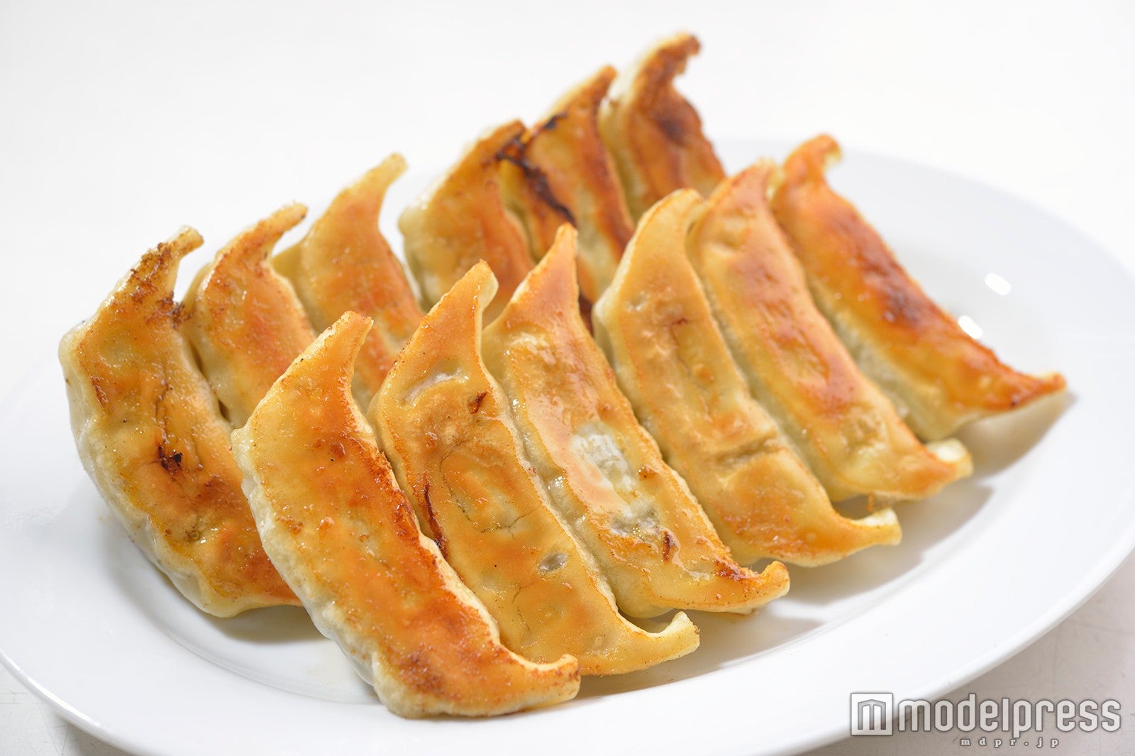 「宇都宮餃子祭り」東京で初開催　人気10店舗の焼きたて餃子を食べまくり／画像提供：下野新聞社