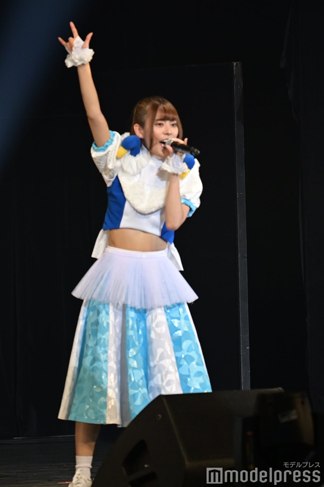 豆柴の大群（C）モデルプレス