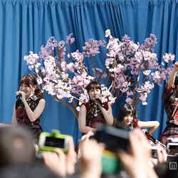 「JAPAN DAY @CENTRAL PARK 2015」に出演したAKB48（C）AKS