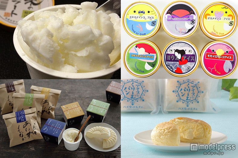 アイスクリーム博覧会「あいぱく2015」で味わえるアイスクリーム【モデルプレス】