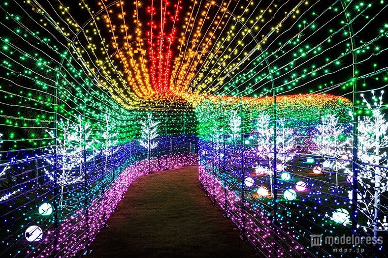 「グランイルミ」／画像提供：伊豆シャボテン公園
