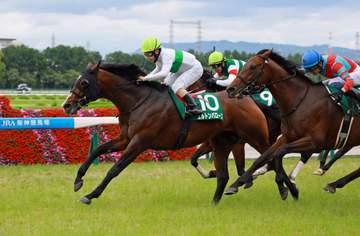 【しらさぎS】7番人気のエルトンバローズが復活V 23年の毎日王冠以来となる重賞3勝目