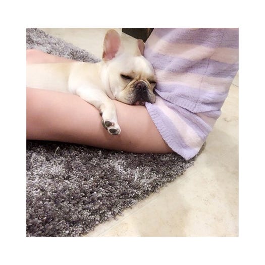 武藤静香、妊娠中のふっくらお腹を披露/オフィシャルブログ(Ameba)より