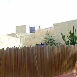 ビッグサンダー・マウンテンは9/24~12/21の期間はリハブ中