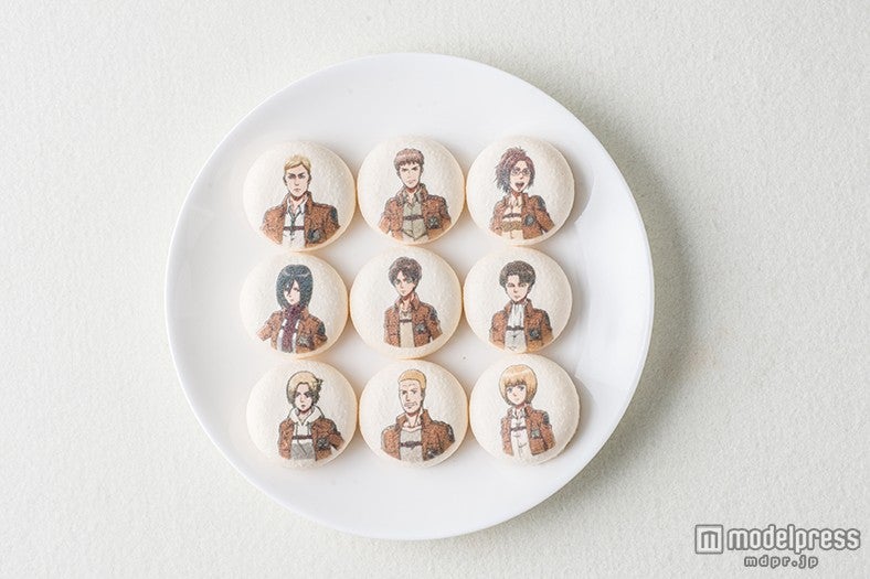 キャラクターのマカロン／画像提供：井上商事
