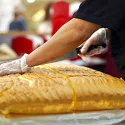 グランドカステラ/画像提供:Grand Castella Japan