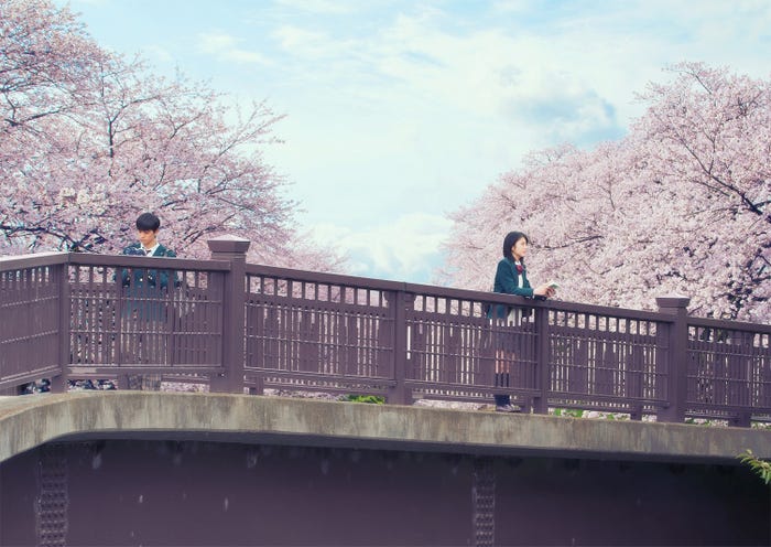 映画「君の膵臓をたべたい」メインカット(C)2017「君の膵臓をたべたい」製作委員会