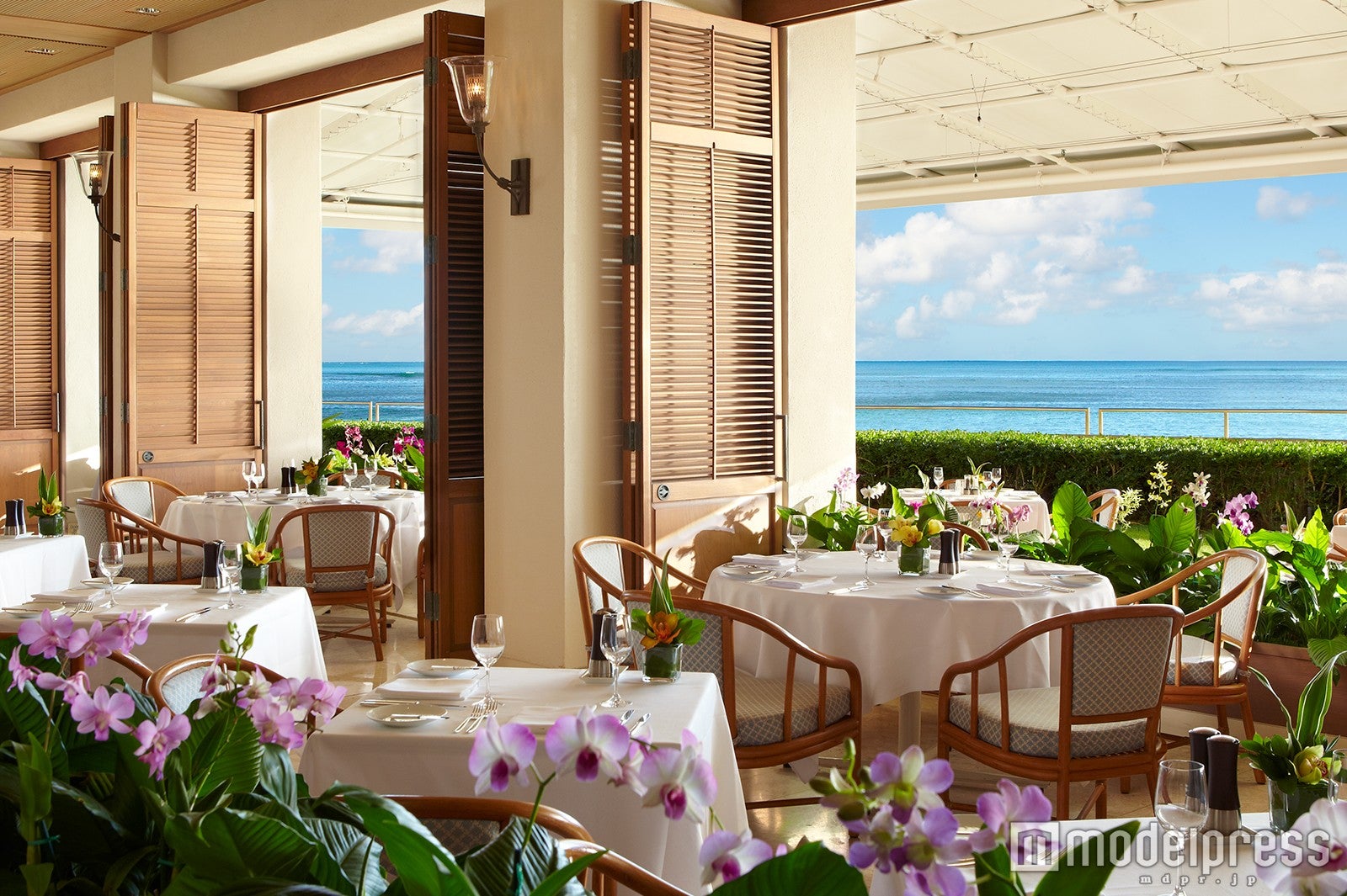 「ハレクラニ」のオーキッズ／画像提供：JTBワールドバケーションズ