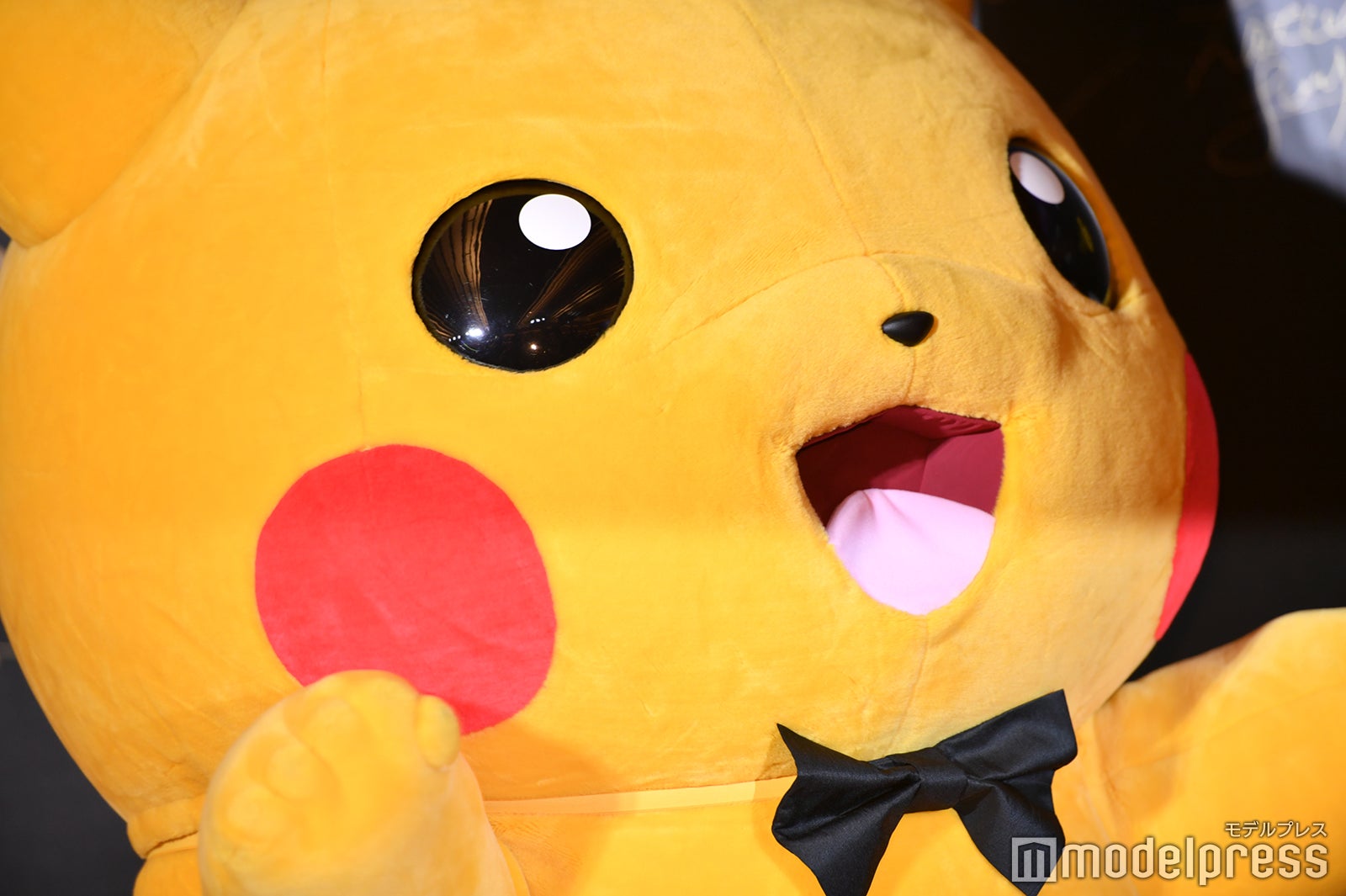 ピカチュウ（C）モデルプレス