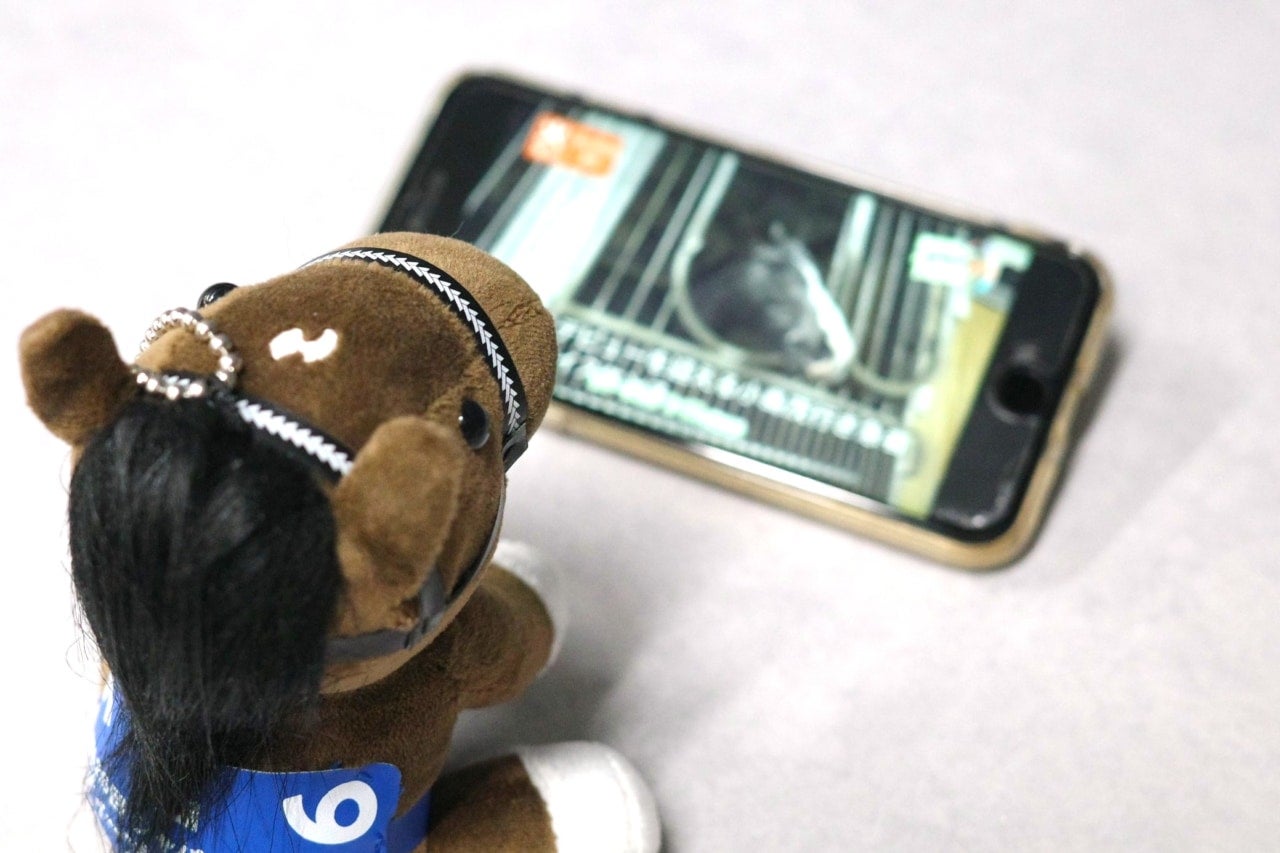 おうちでも“ウマ活”できちゃう!? おすすめ動画コンテンツ3選