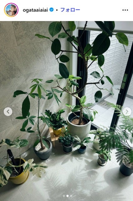 尾形あいさんInstagramより