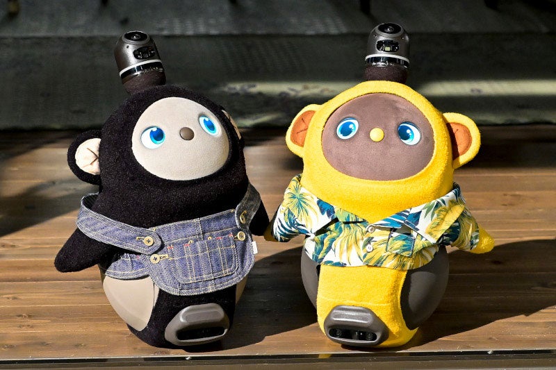 慶太のペットの「猿彦」や富彦のペット「猿之助」（C）TBS