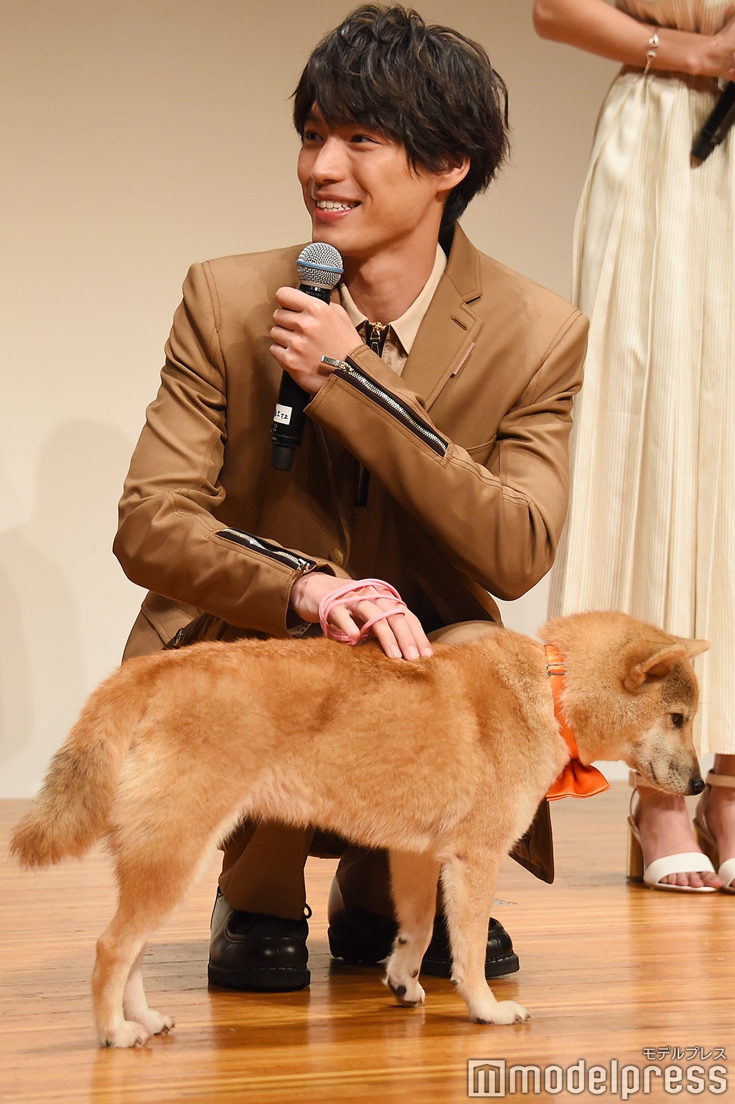 シロと戯れる福士蒼汰 （C）モデルプレス