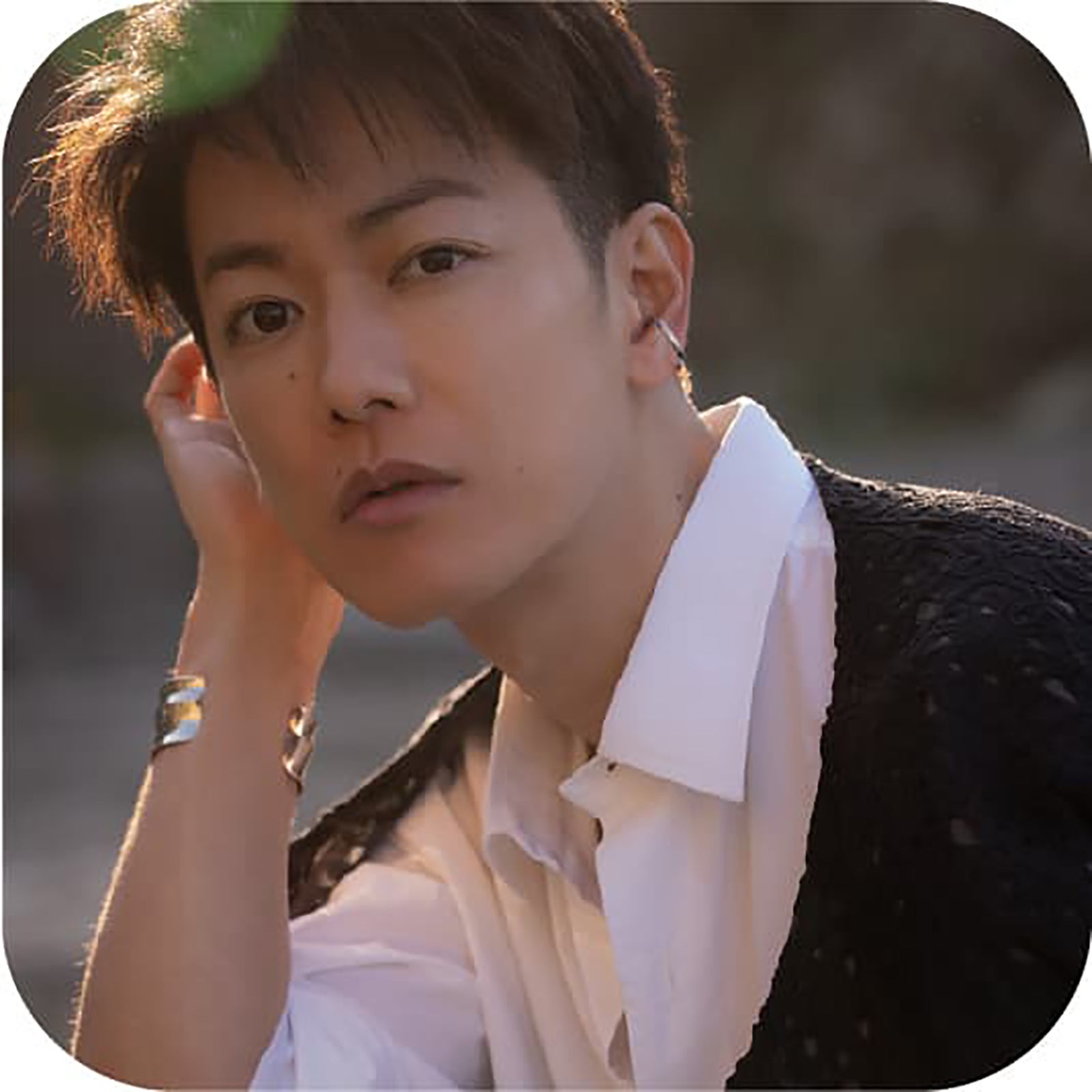 佐藤健（提供写真）