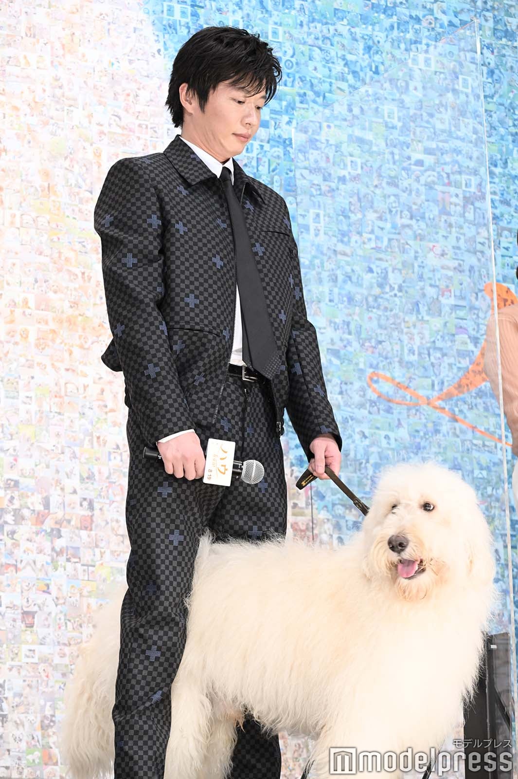 田中圭、ベック （C）モデルプレス