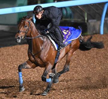 【チャンピオンズスSP】サトノレーヴ 動き抜群 堀師「バランスも良く、余力十分の内容でした」