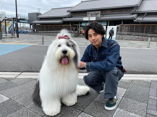 キスマイ藤ヶ谷太輔、所ジョージからもらった勝負服で“超能力犬”とネタ