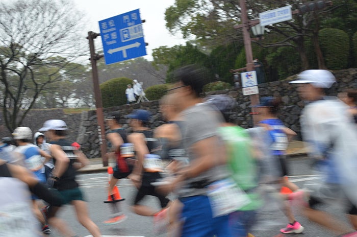 大会の様子（提供写真）