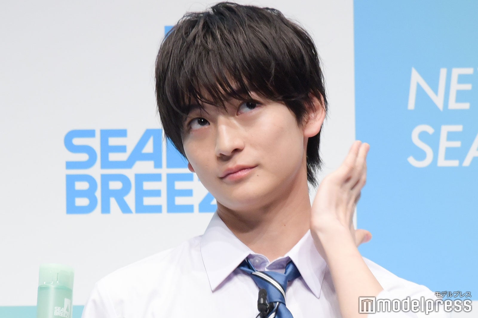 高橋文哉（C）モデルプレス