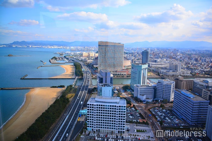 福岡タワーから見た市街地(C)モデルプレス