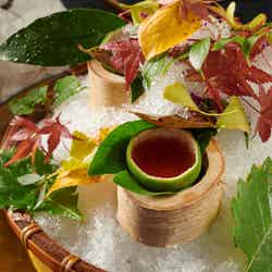 ふふ 旧軽井沢 静養の森/画像提供:カトープレジャーグループ